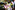 IMG_7905_resize