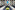 AP7A7431_resize