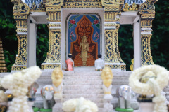 116_resize