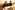 IMG_4738_resize
