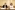 7_resize
