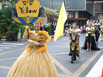 DSC00638