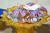 DSC00767