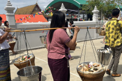 S__144039993_0
