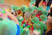 กล่องปริศนา สุพรรณบุ_190517_0055_resize