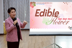 LINE_ALBUM_กิจกรรม-Edible-flower-ปลูก-สนุก-และกินได้_250818_35