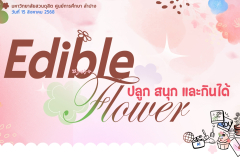 LINE_ALBUM_กิจกรรม-Edible-flower-ปลูก-สนุก-และกินได้_250818_39