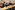 AP7A4464_resize