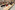 AP7A4471_resize