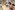 AP7A4488_resize