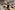 AP7A4525_resize
