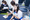 รูป-172
