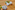 IMG_1339_resize