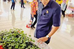 รูป-14