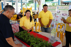 รูป-3