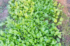 LINE_ALBUM_19268_250219_24