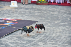 LINE_ALBUM_บวงสรวง_260119_3