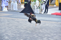 LINE_ALBUM_19169_260119_7