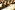 IMG_3078_resize