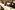 IMG_3084_resize
