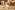 IMG_3108_resize