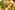 IMG_3130_resize