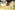 IMG_3163_resize