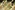 IMG_3164_resize
