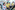IMG_1023_resize