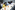 6P3A9663_resize