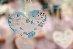1X1A9685_resize