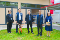 รูป-6