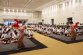 AP7A1331_resize