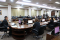 AP7A1294_resize