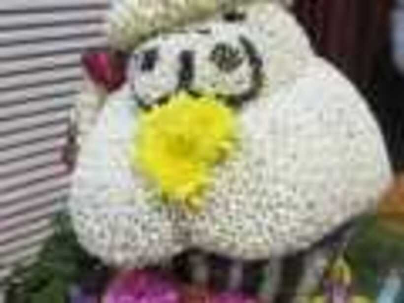 21