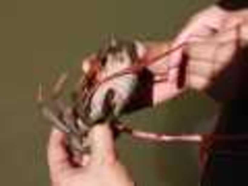 19