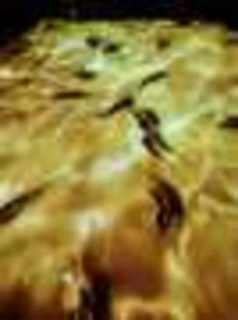 1-4_resize