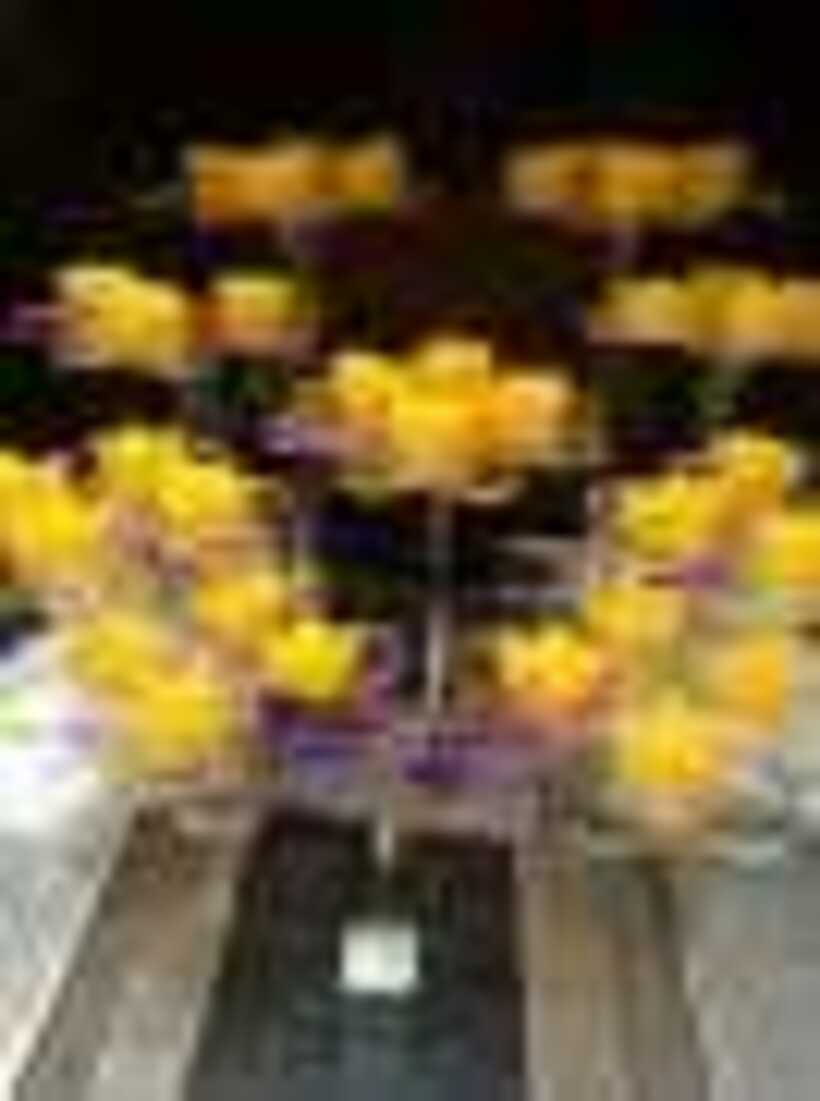1461328_10204014481895424_7646417034180476917_n_resize
