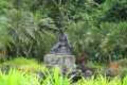 12_resize