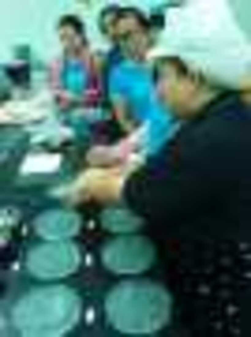 Picture 089_resize