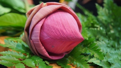 P1010937