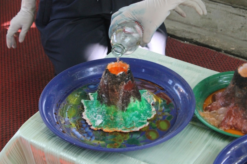 IMG_2842 (Medium)