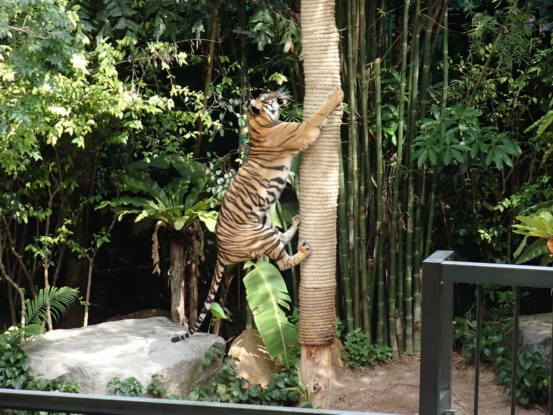 PB270207_resize