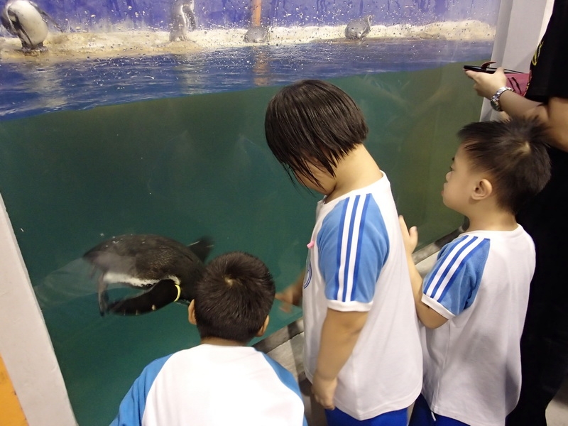 PB270301_resize