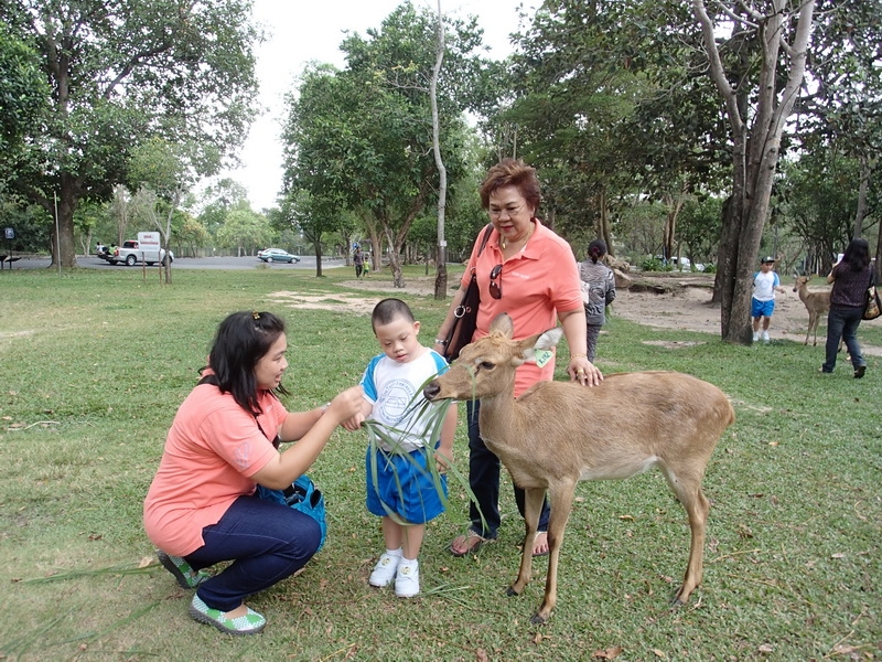 PB270442_resize