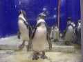 PB270302_resize
