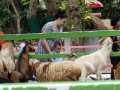 PB270324_resize