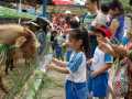 PB270335_resize