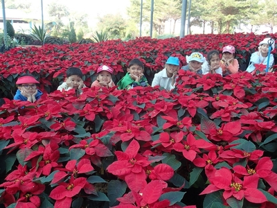 PC190388_resize