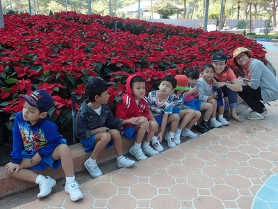 PC190390_resize